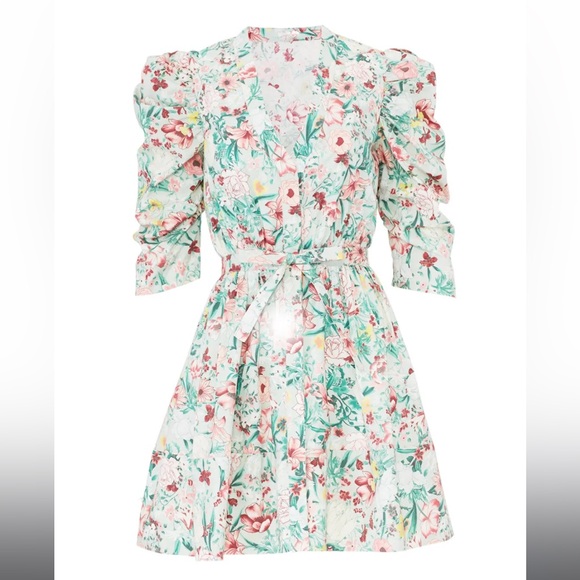 Ronny Kobo Floral Meritti Dress - Picture 5 of 5